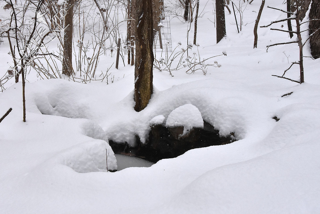 1-12-19 Bubbler in snow