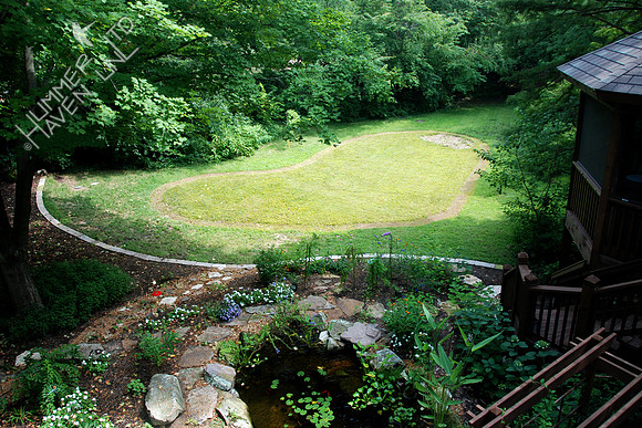9-11-08  Songbird and Butterfly Garden area defined, turf sprayed with Roundup