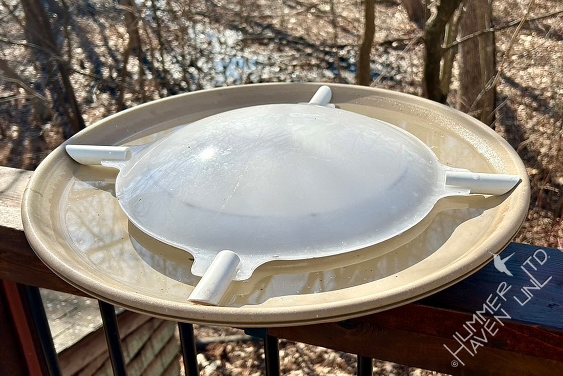 3-1-25 Dan's bird bath dome