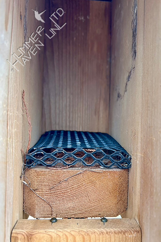 3-15-26 Eastern Bluebird nest box