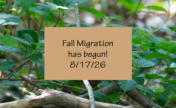 8-17-26 Migration!