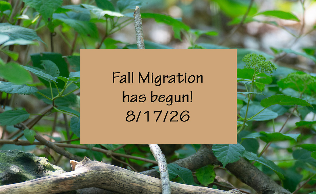 8-17-26 Migration!