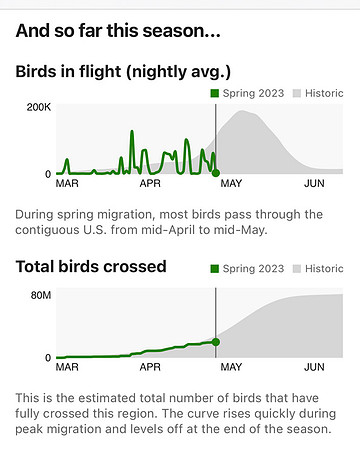 4-30-23 Birdcast