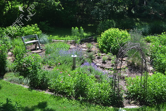 6-24-13 Garden view