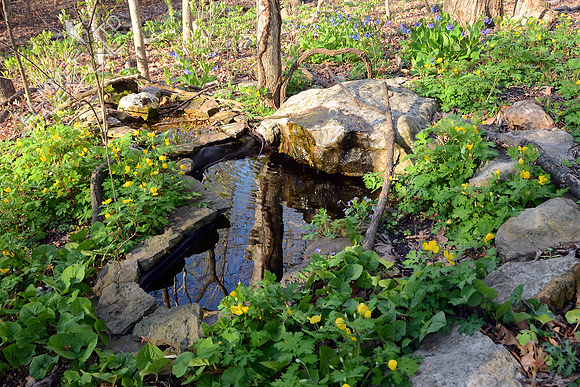 Bubbler Area 4-13-16
