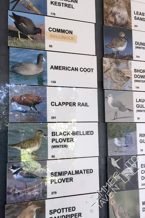 Species Sightings Board at Ding Darling National Wildlife Refuge