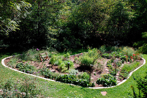 9-17-09 First fall in the Songbird and Butterfly Garden