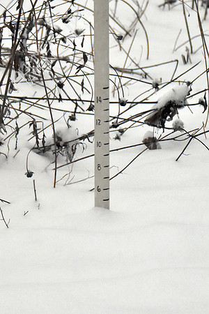 Snow depth 4:48 pm 1-11-19