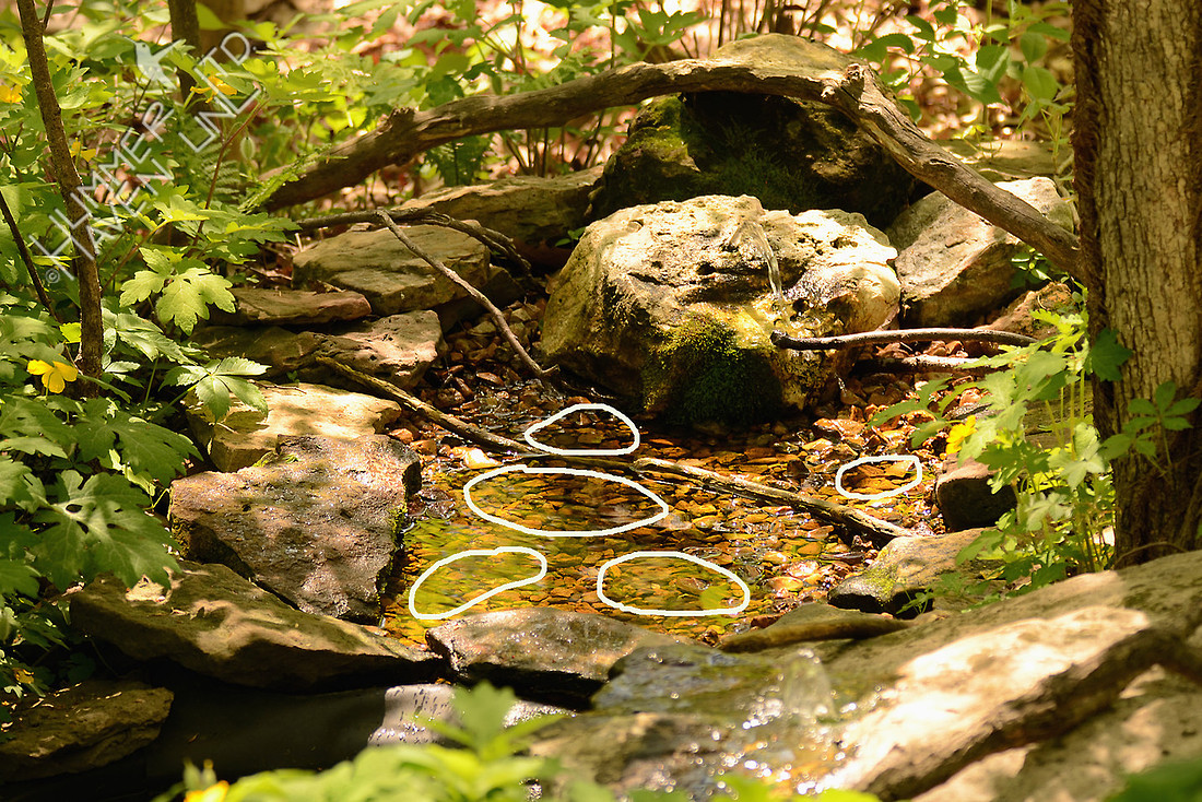 Bubbler Basin puddle areas 4-23-16