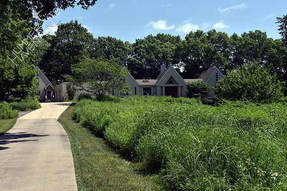 6-11-17 Sustainable Backyard Tour #4