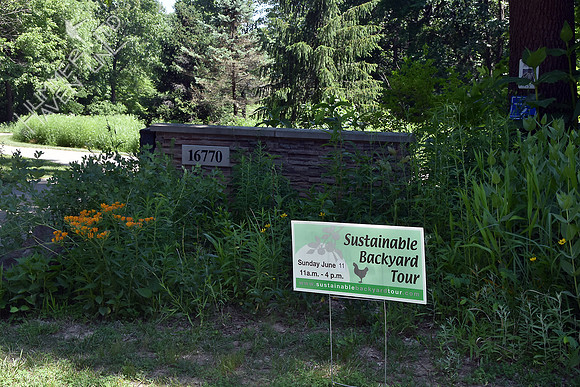 6-11-17 Sustainable Backyard Tour #4