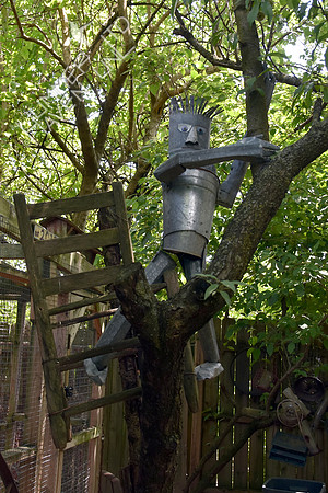 6-11-17 Sustainable Backyard Tour #39