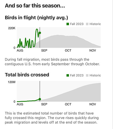 8-31-23 BirdCast