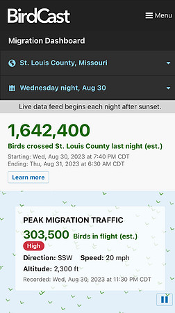 8-31-23 BirdCast