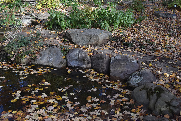 Pond after 11-10-17