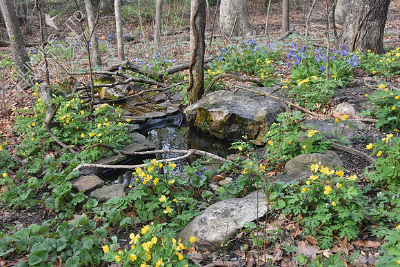 Bubbler Area 4-25-18