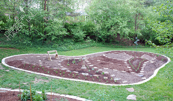 4-30-09 Some Garden plants installed
