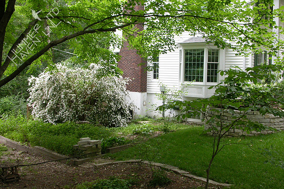 6-2-05 East side of house before water garden