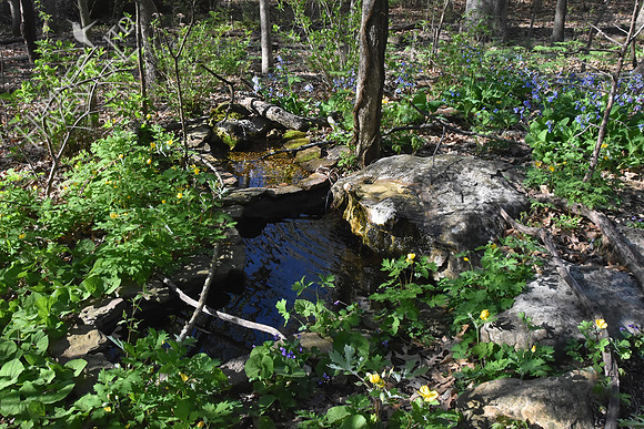 Bubbler Area 4-21-19