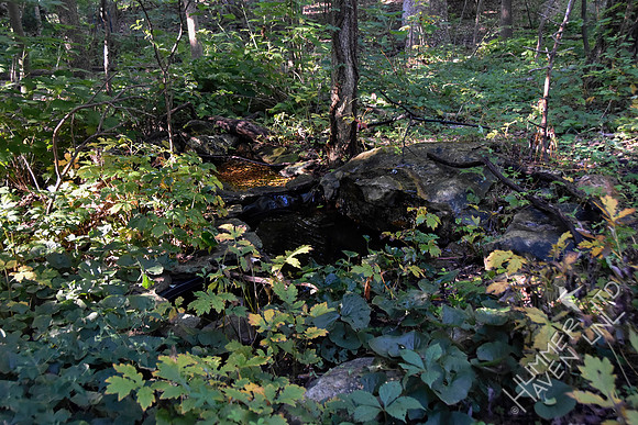 8-29-19 Bubbler Area in Fall