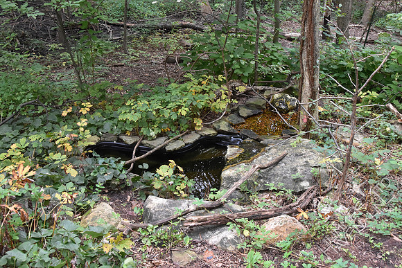 8-30-19 Bubbler Area in Fall