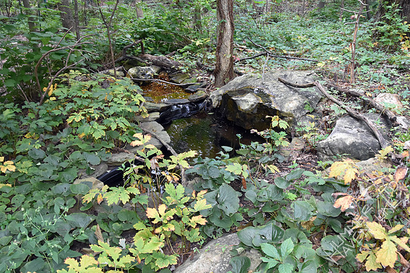 8-30-19 Bubbler Area in Fall