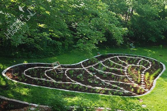 Songbird and Butterfly Garden designed in the shape of a Monarch's wing by Margy Terpstra