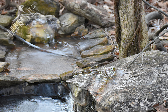 2-13-20 at 5 degrees with no heater water is still running