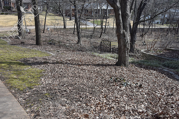 3-1-20 Leaves in front sugar maple bed looking E
