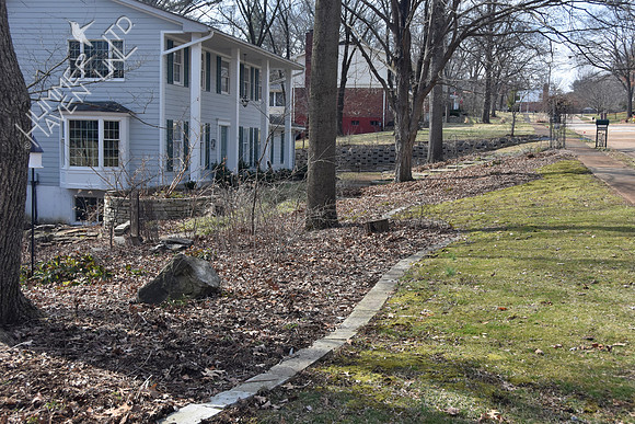 3-1-20 Leaves in front sugar maple bed looking W