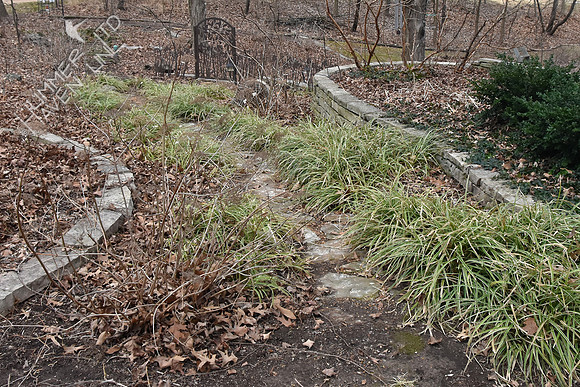 3-1-20 Leaves in stone path beds looking ESE