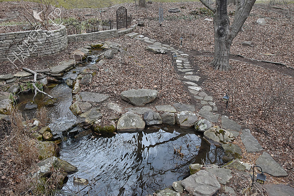 3-1-20 Leaves in E bed and surrounding pond
