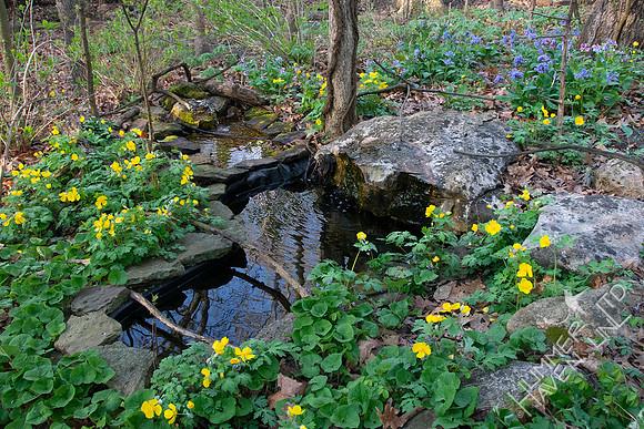 4-8-20 Bubbler Area