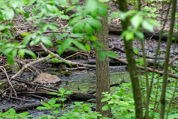 5-18-20 Sump puddle