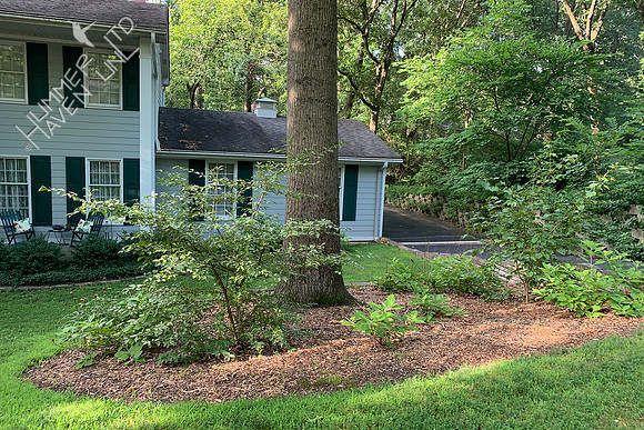 7-24-20 Pin Oak bed