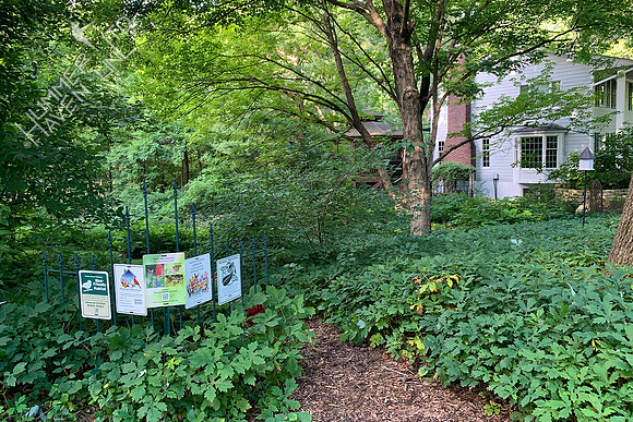 7-24-20 Educational Signs