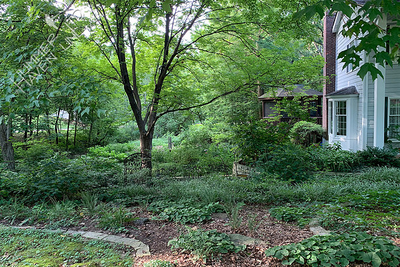 7-24-20 Gate view