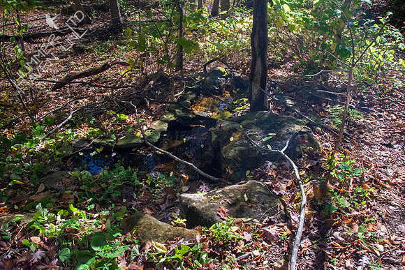 10-22-20 Bubbler Pond makeover, before
