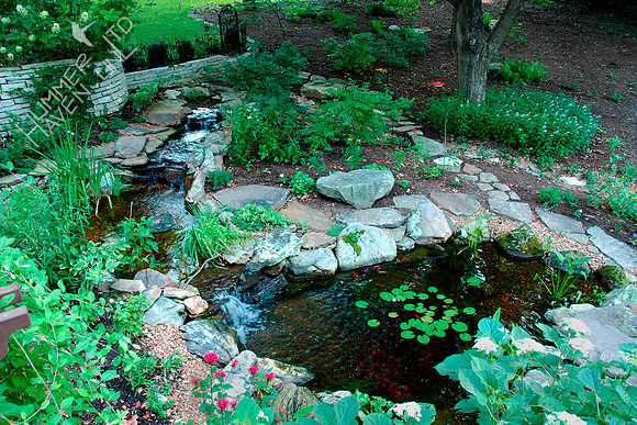 7-1-09 View of Water Garden for Wildlife