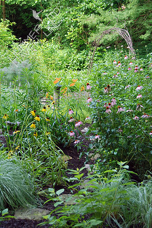 6-13-10 View of Bird and Butterfly Garden