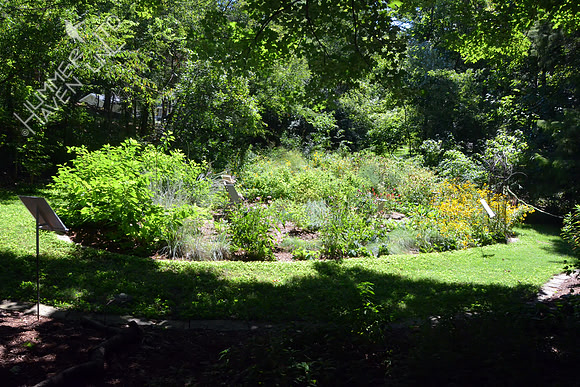 Songbird and Butterfly Garden ready for tour by Missouri Master Gardeners on 9/13/14
