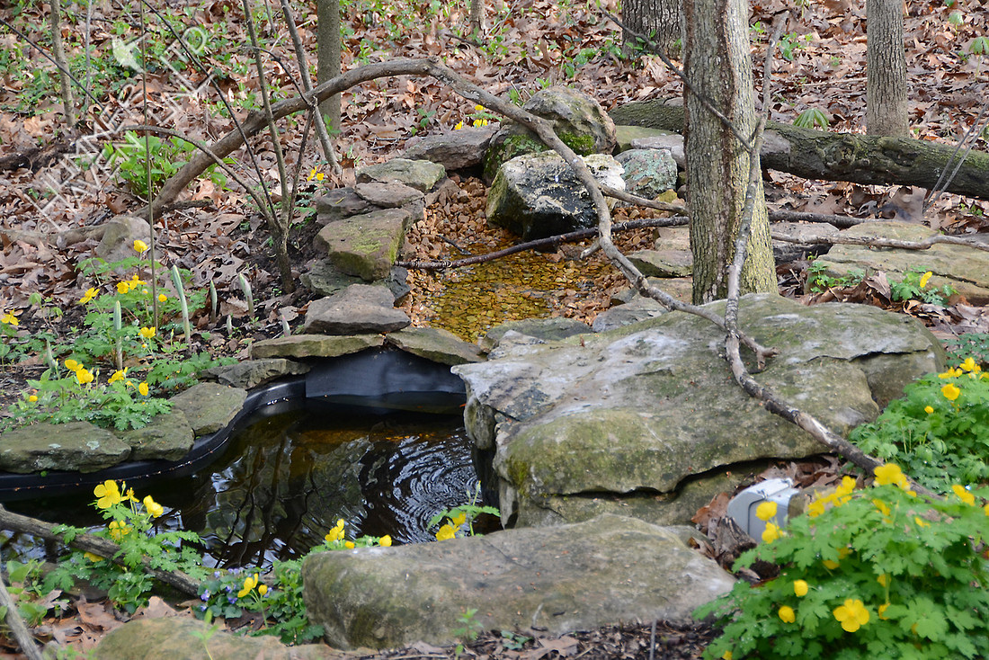 Bubbler with enlarged basin 3-23-12 (changed 11-5-11)