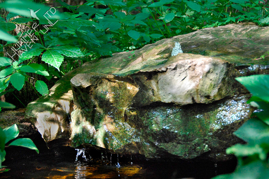 Bubbler Rock 6-20-08