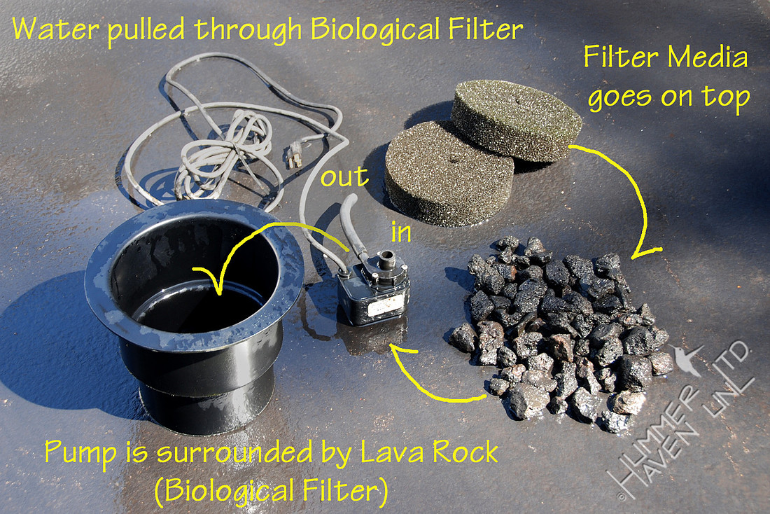 Pump and Filter for Bubbler Pond 3-19-10